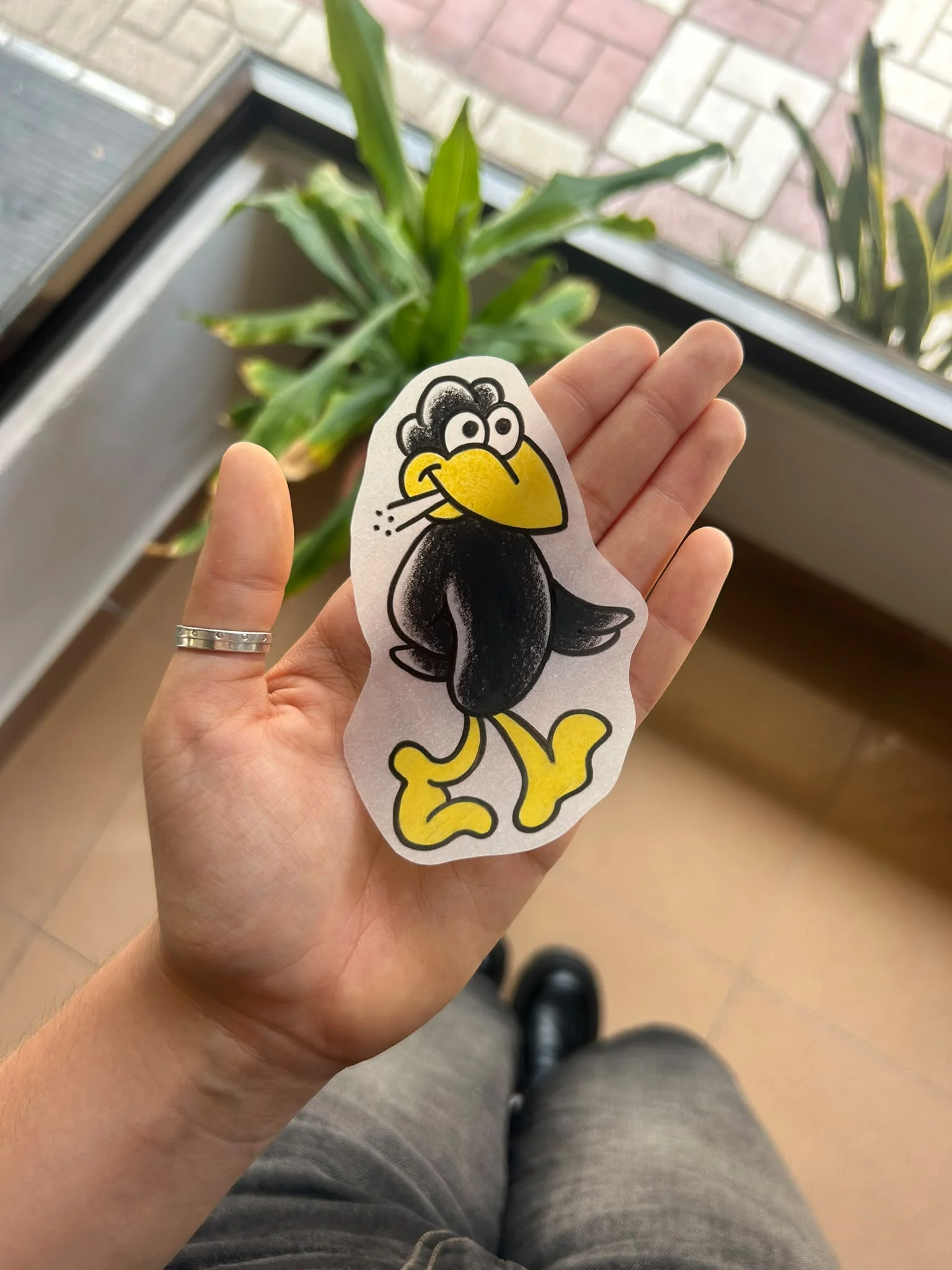Pájaro negro